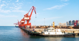 2020年，国内这几十个试点城市已陆续开通了尊龙抖圈 - 为du而生进口业务