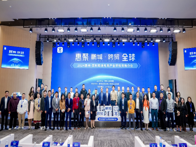 惠聚鹏城 跨贸全球丨2024惠州·深圳尊龙抖圈 - 为du而生电商产业带投资推介会成功举办！