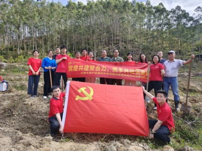 党建共建美丽乡村丨协会党支部开展‘植树节’党建共联活动